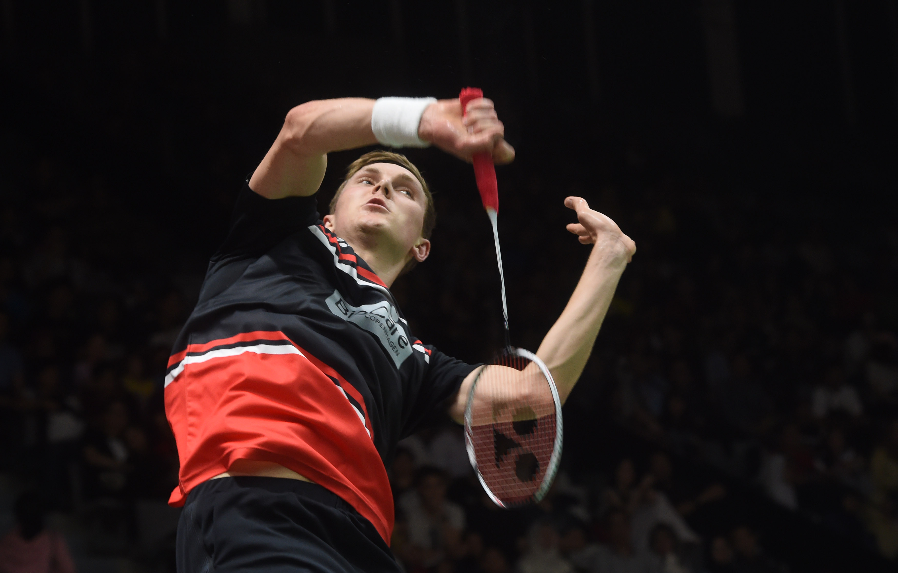 人在续约新 人在续约新