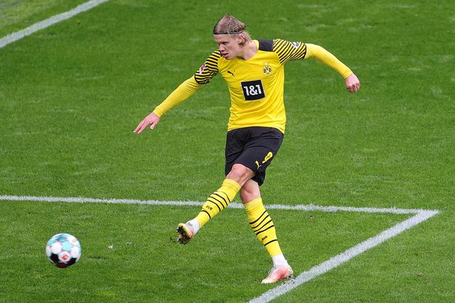 在球场上的 在球场上的