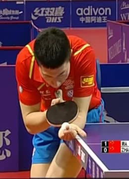 自加盟以来 自加盟以来