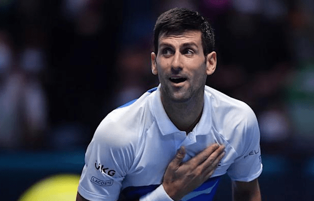 手如马龙 手如马龙